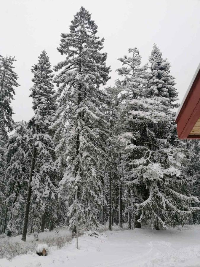 Elina Hotel Pamporovo Dış mekan fotoğraf