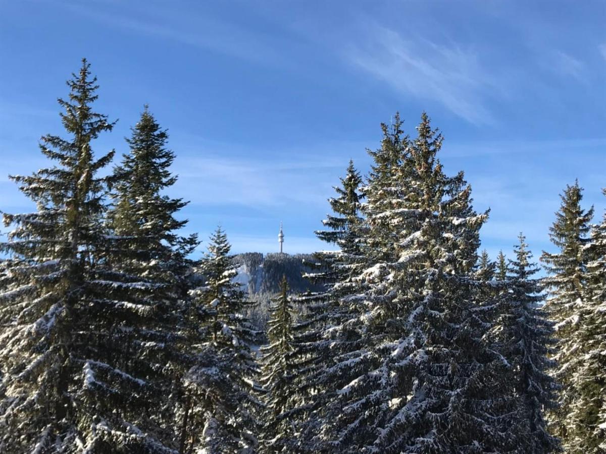 Elina Hotel Pamporovo Dış mekan fotoğraf
