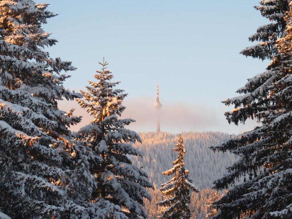 Elina Hotel Pamporovo Dış mekan fotoğraf