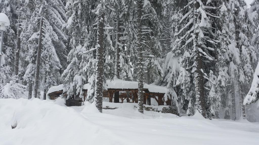 Elina Hotel Pamporovo Dış mekan fotoğraf