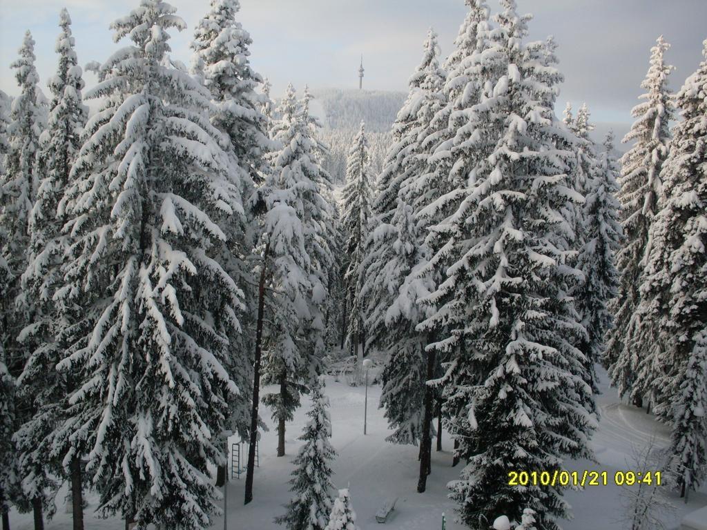 Elina Hotel Pamporovo Dış mekan fotoğraf