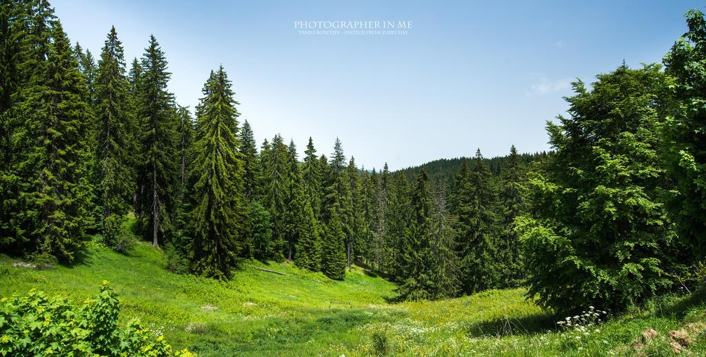 Elina Hotel Pamporovo Dış mekan fotoğraf